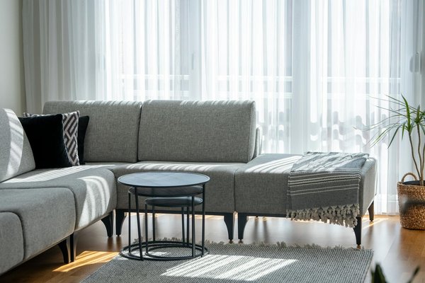 Préparez votre jardin pour la plantation de graines: Guide ultime pour un sol fertile et accueillant