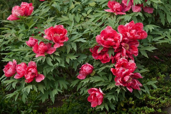 Les erreurs à éviter lors de la souscription à une assurance maison